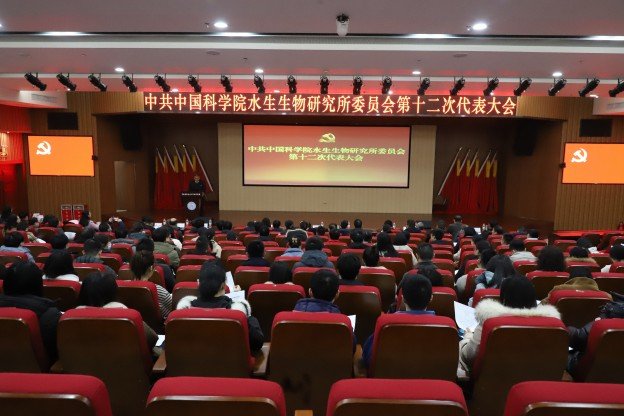 水生所召开第十二次党员代表大会