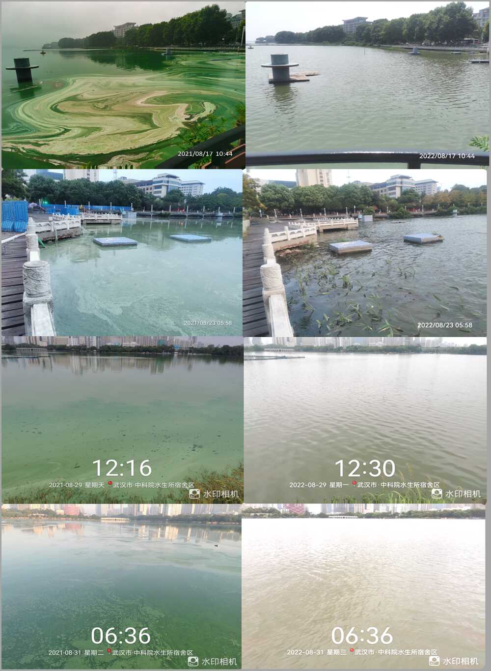 湖北省科协公布“2023年度湖北十大