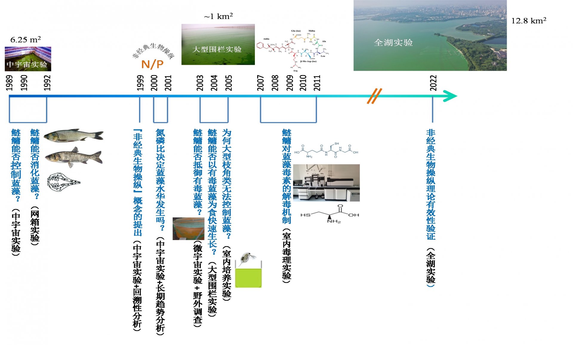 水生所谢平团队成果“控制蓝藻水华的非