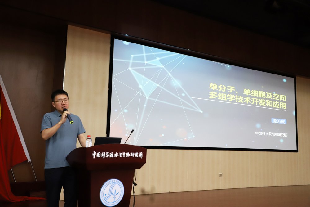星空体育彩票官网正规渠道动物星空体育