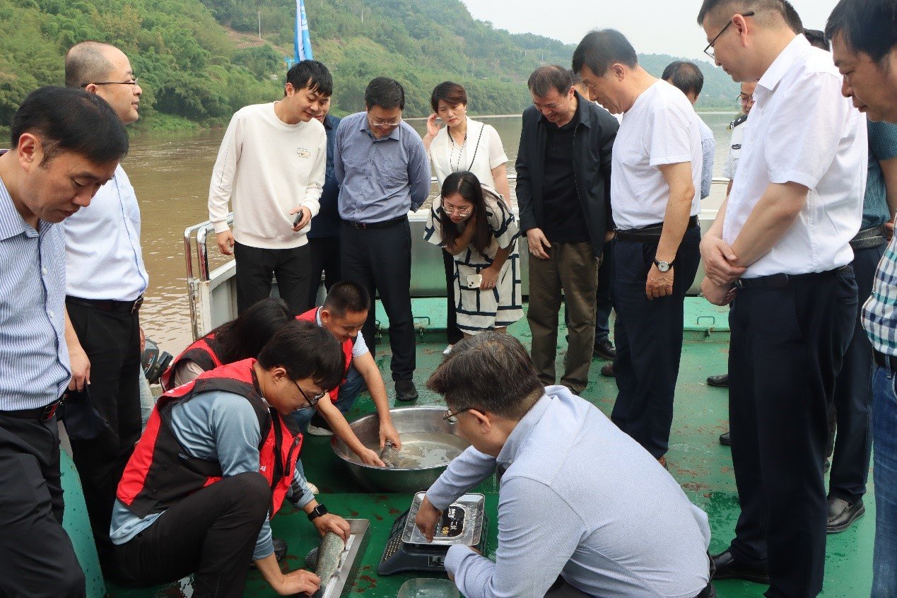 国务院参事调研组调研水生所赤水河站