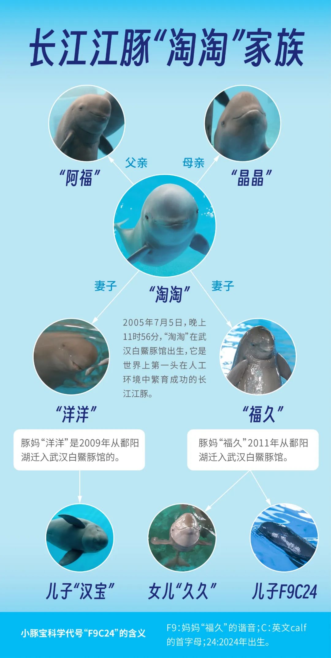 作者:武汉白鱀豚保护基金会