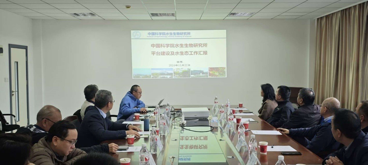 中国人与生物圈英超联赛携手星空体育彩
