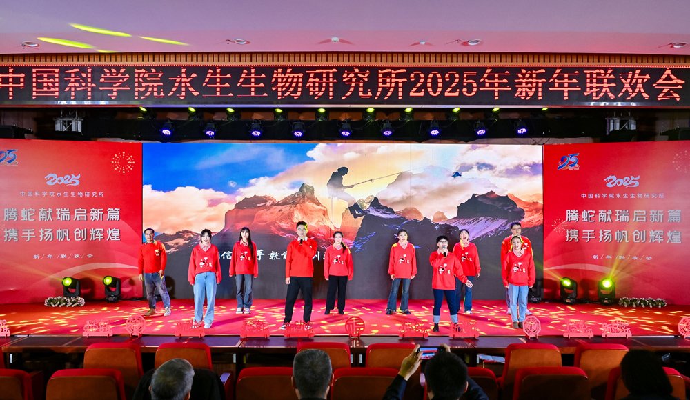 总结2024