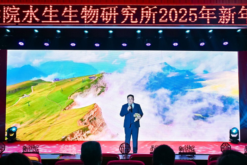星空体育彩票手机版登录副书记