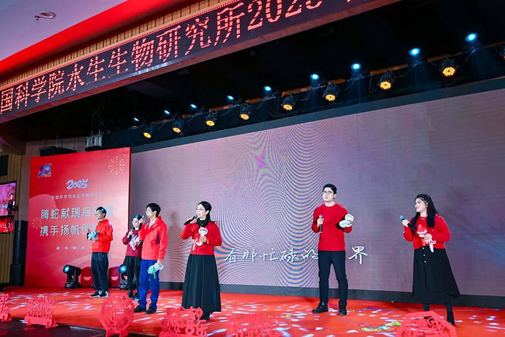 建制化改革的推进情况