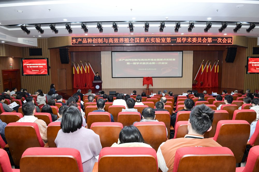 作者：苏睿丽
