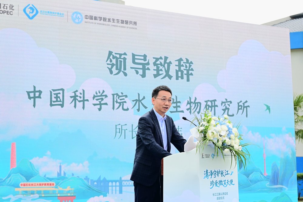 长江江豚F08被中国石化湖北石油分星