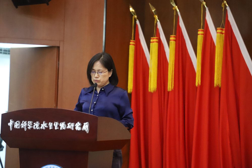 六月的东湖碧波荡漾