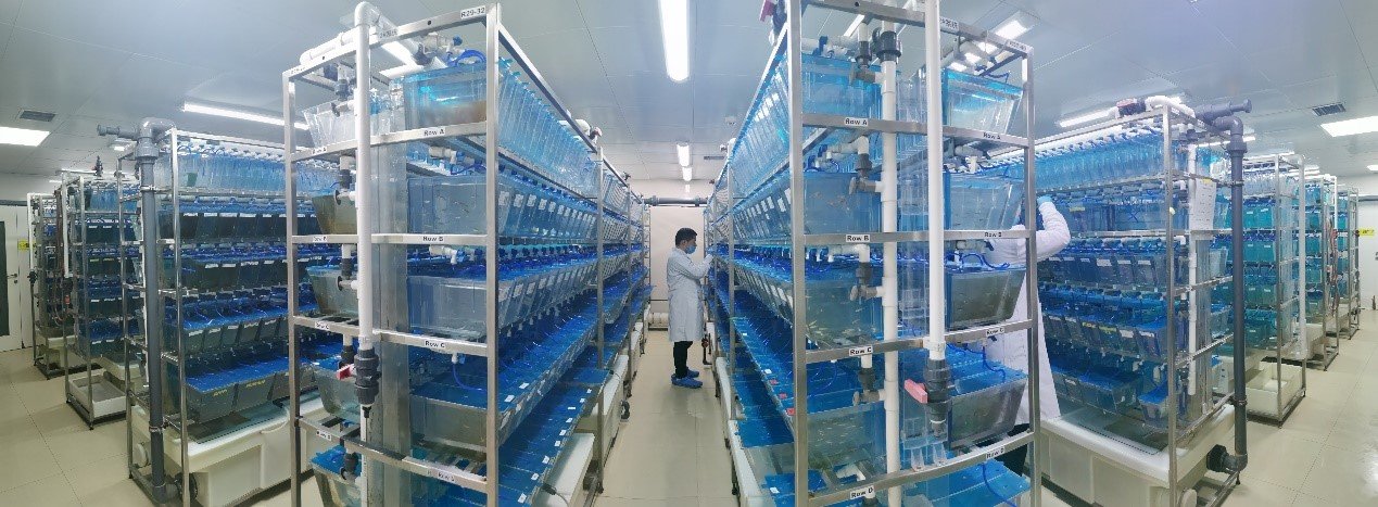 水生所获批湖北省首个斑马鱼实验动物许