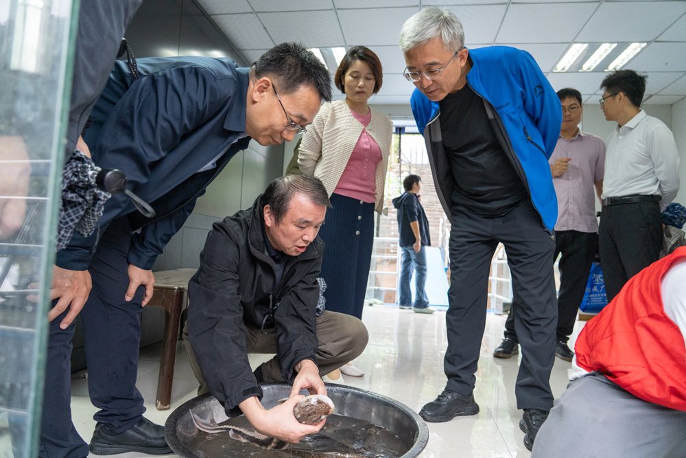 作者:黎明政、邹恒