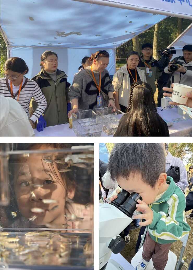 水生所参加星空体育彩票出任纽卡斯尔联