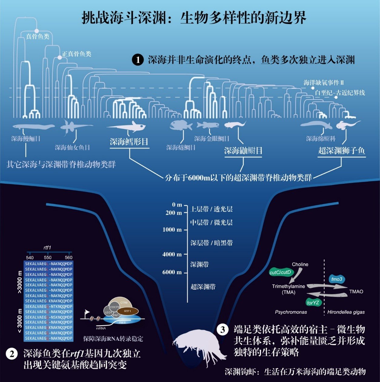水生所研究成果入选2025年度“中国