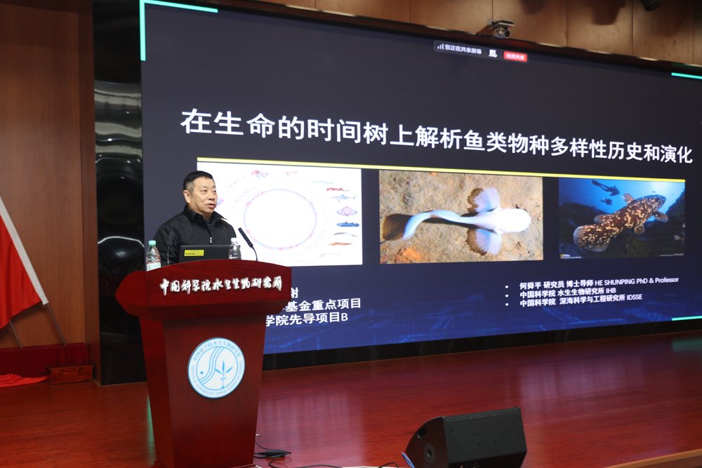 何舜平院士应邀作水生所创新系列讲座专