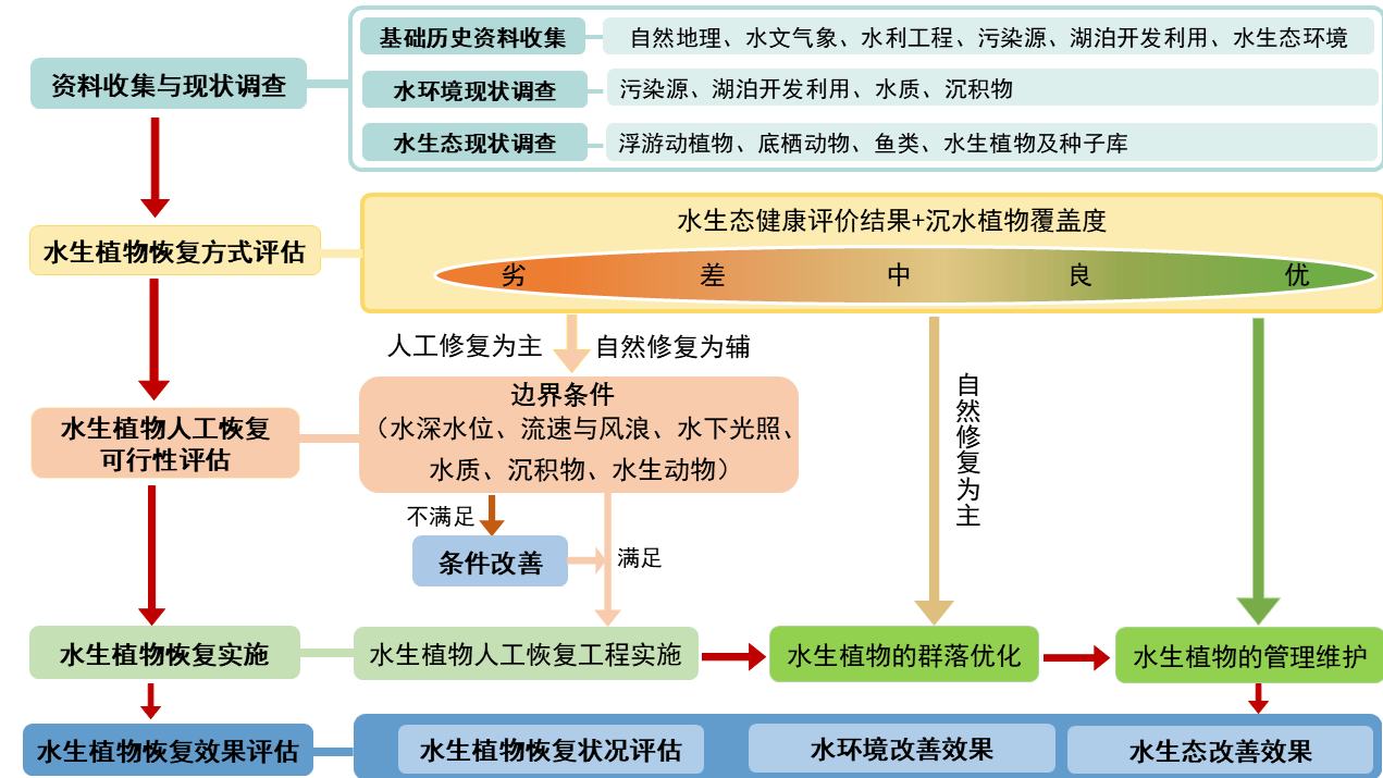 由星空体育彩票成为上海海港的官方合作