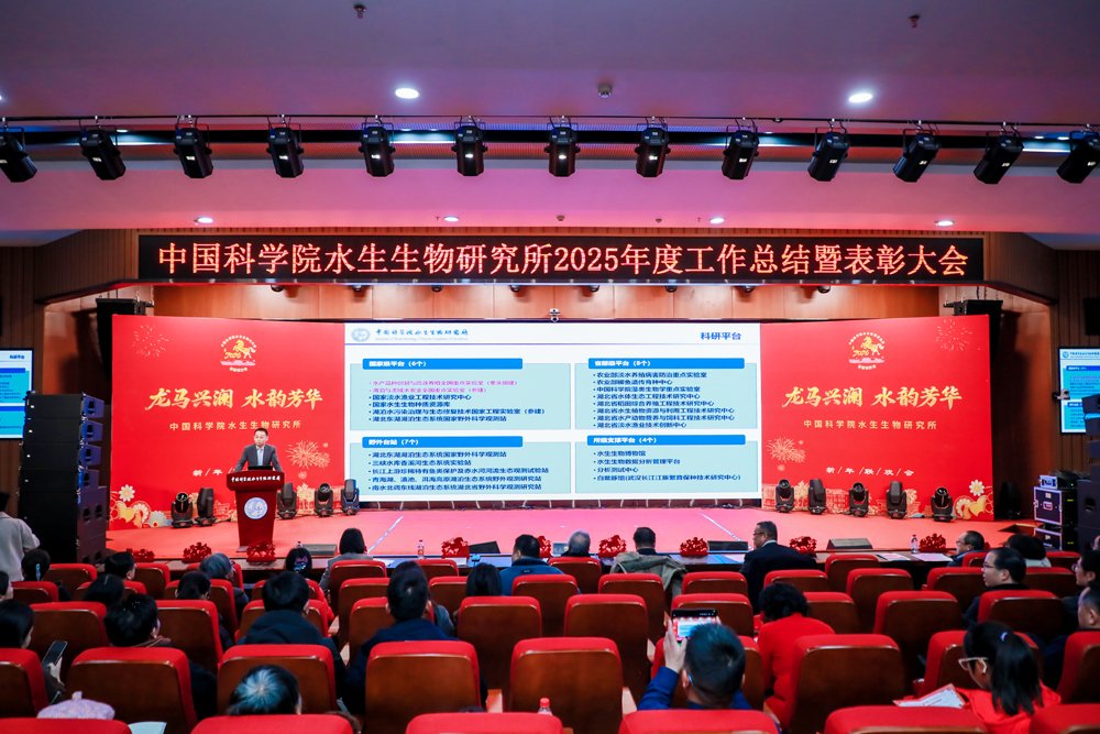 水生所举办2025年度总结表彰大会暨