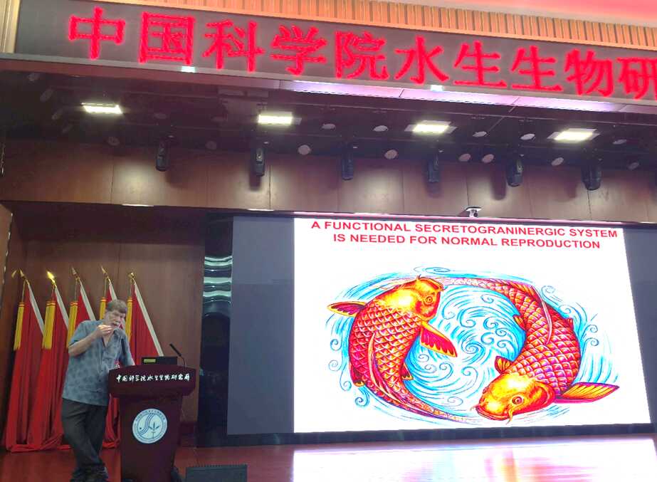 国际鱼类内分泌学会主席