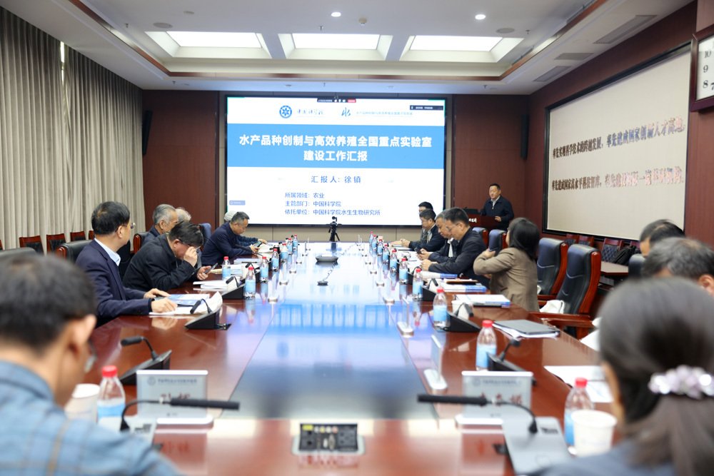 会议以线上线下相结合的方式进行