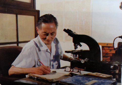 却成为藻类学宗师