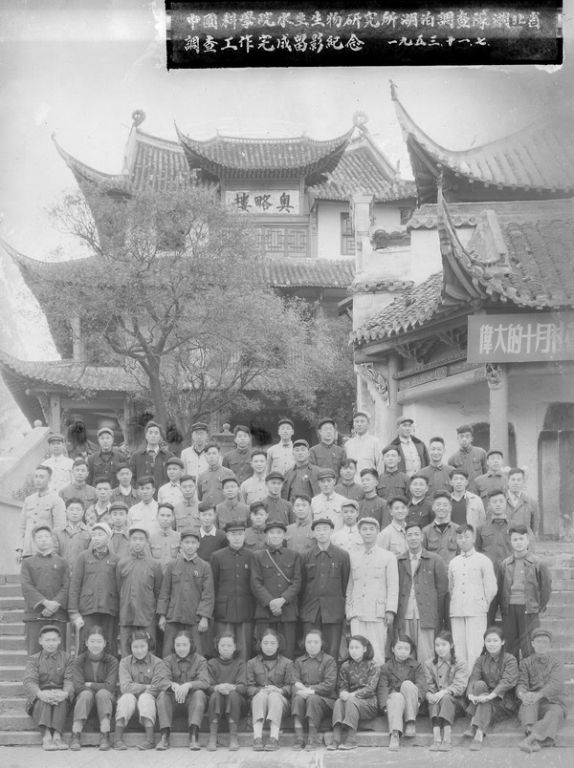 【打印】 【关闭】