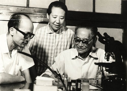 智商出众还勤奋