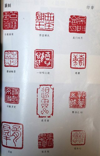专业一流还跨界