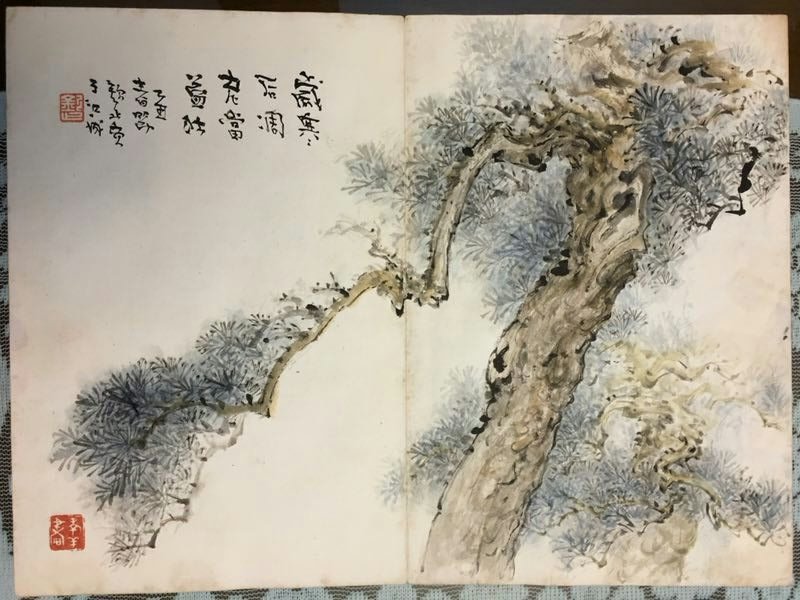 水库等水体中的天然食料放养鱼类的研究