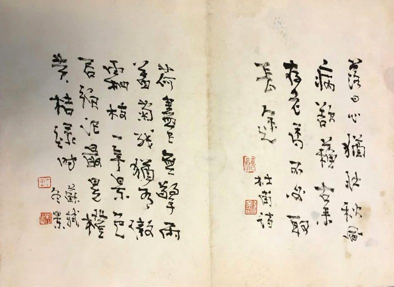 其中提出的分类系统为国际藻类学界广泛