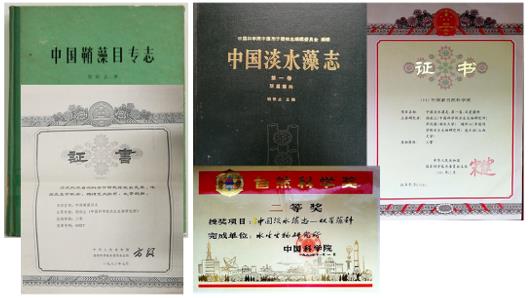 发布时间