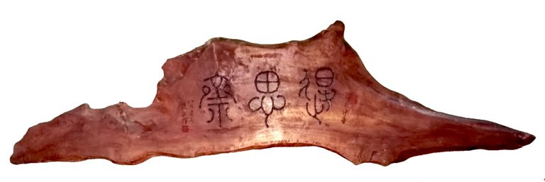 1922年北京师范大星空体育彩票与维